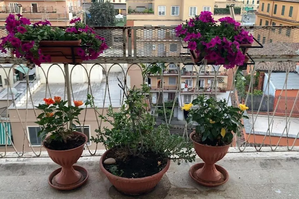 Attico Lucrino Panoramico Apartment Rome Italy