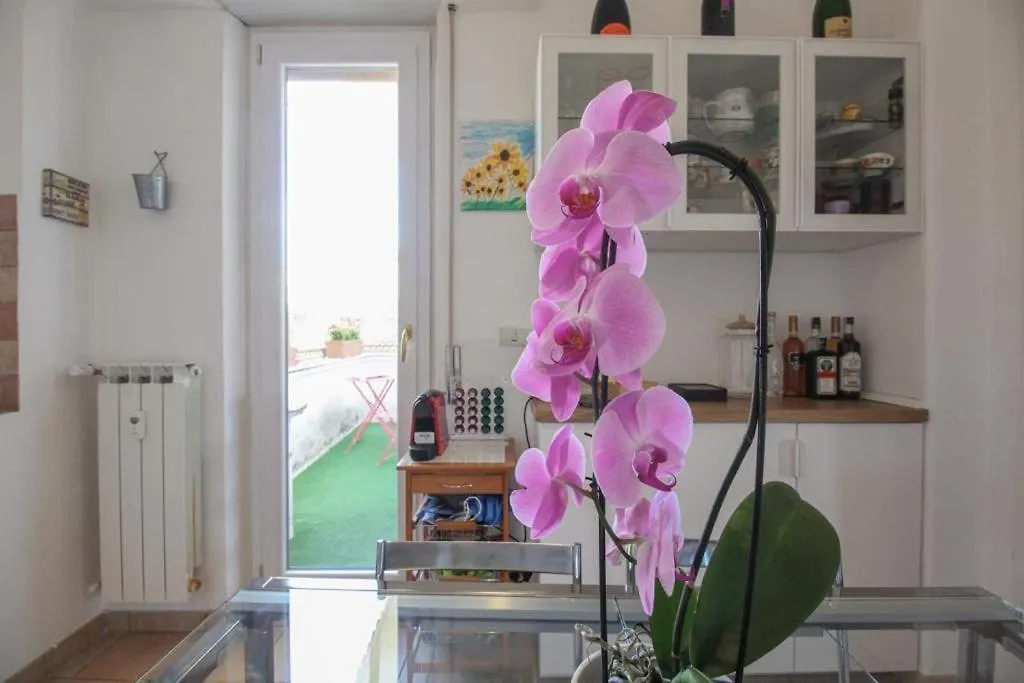 Attico Lucrino Panoramico Apartment Rome